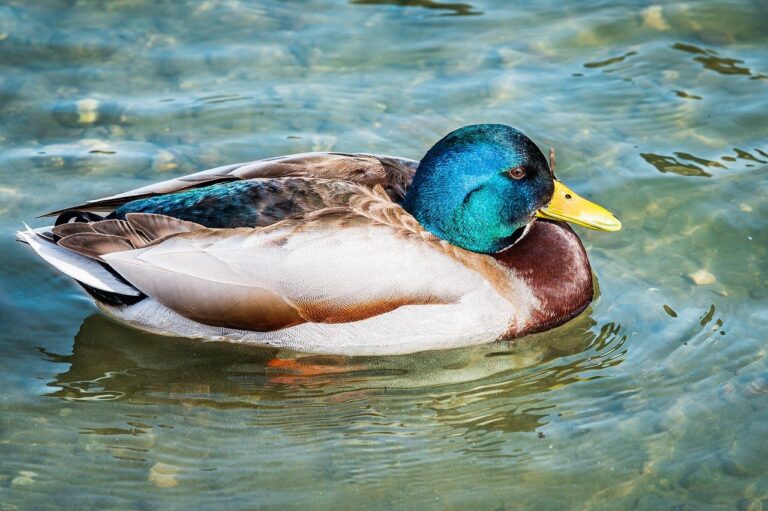 latest tech gfxprojectality