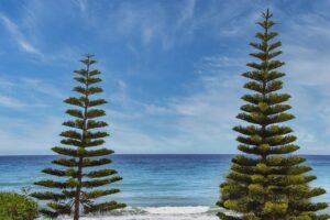 read game development with rust and webassembly online