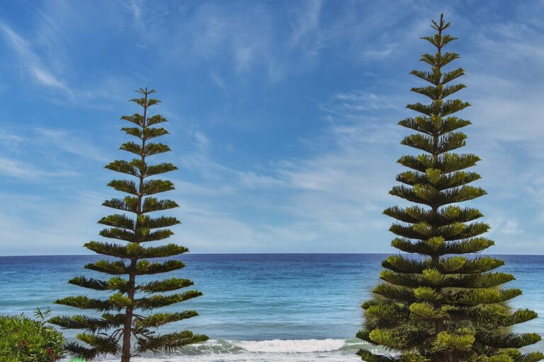 read game development with rust and webassembly online