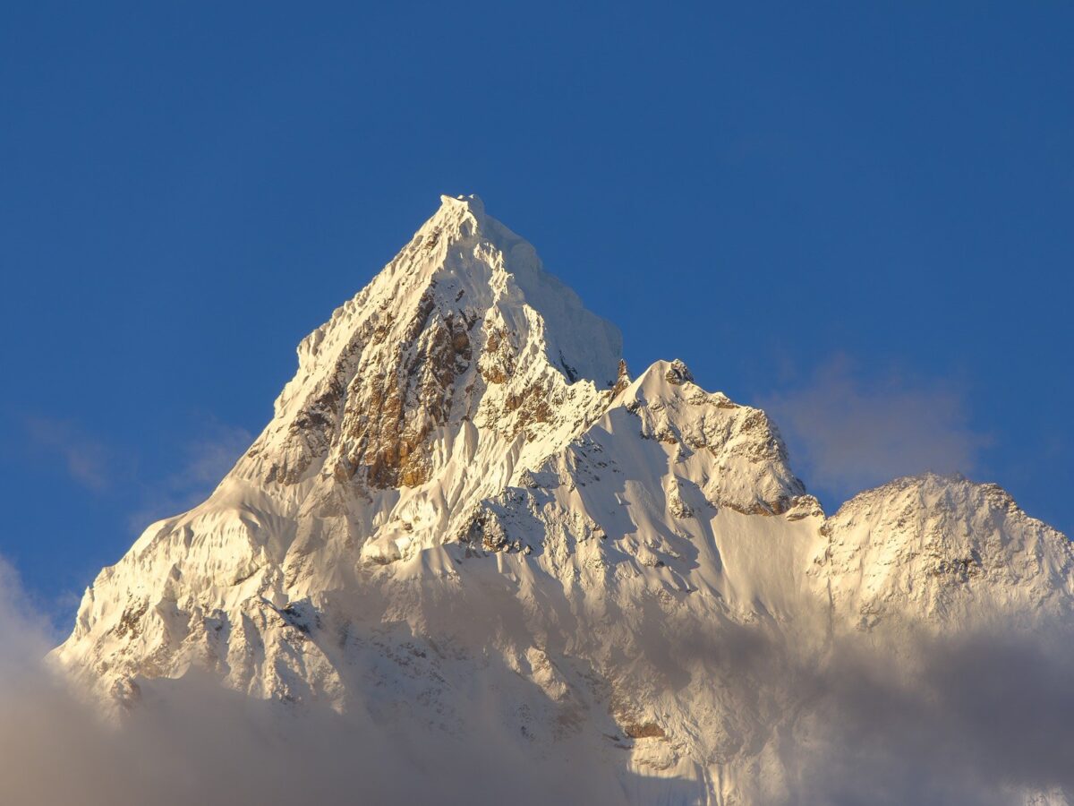 Tech Trends GFXProjectality