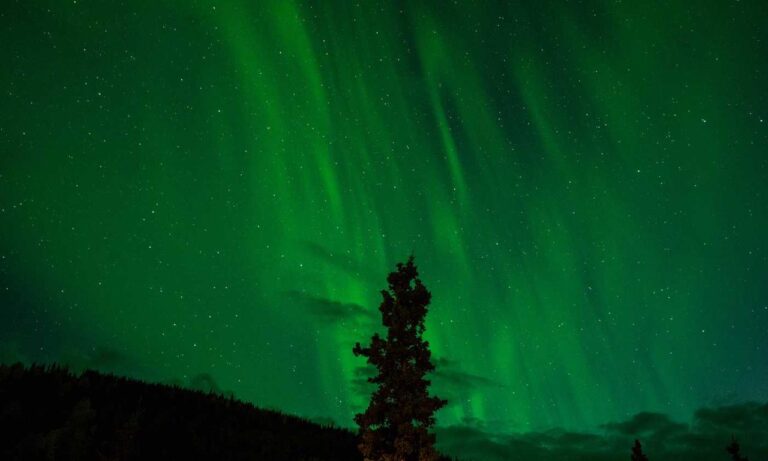 8tshare6a software download