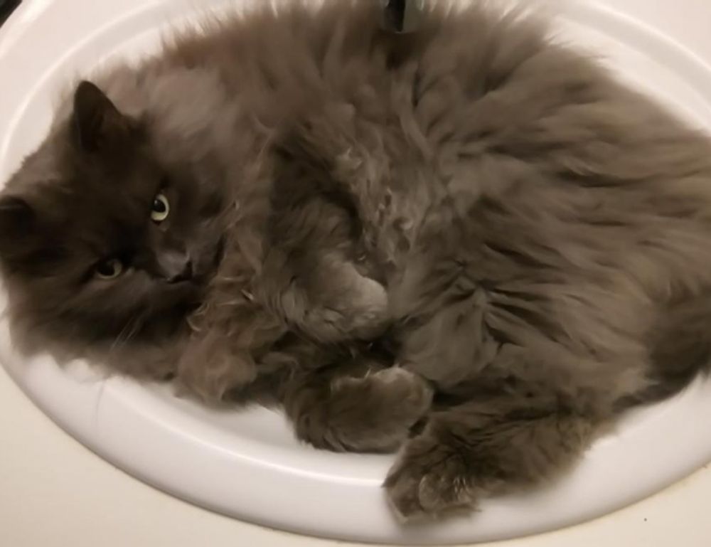 software 8tshare6a python