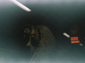 elley davies leaked of