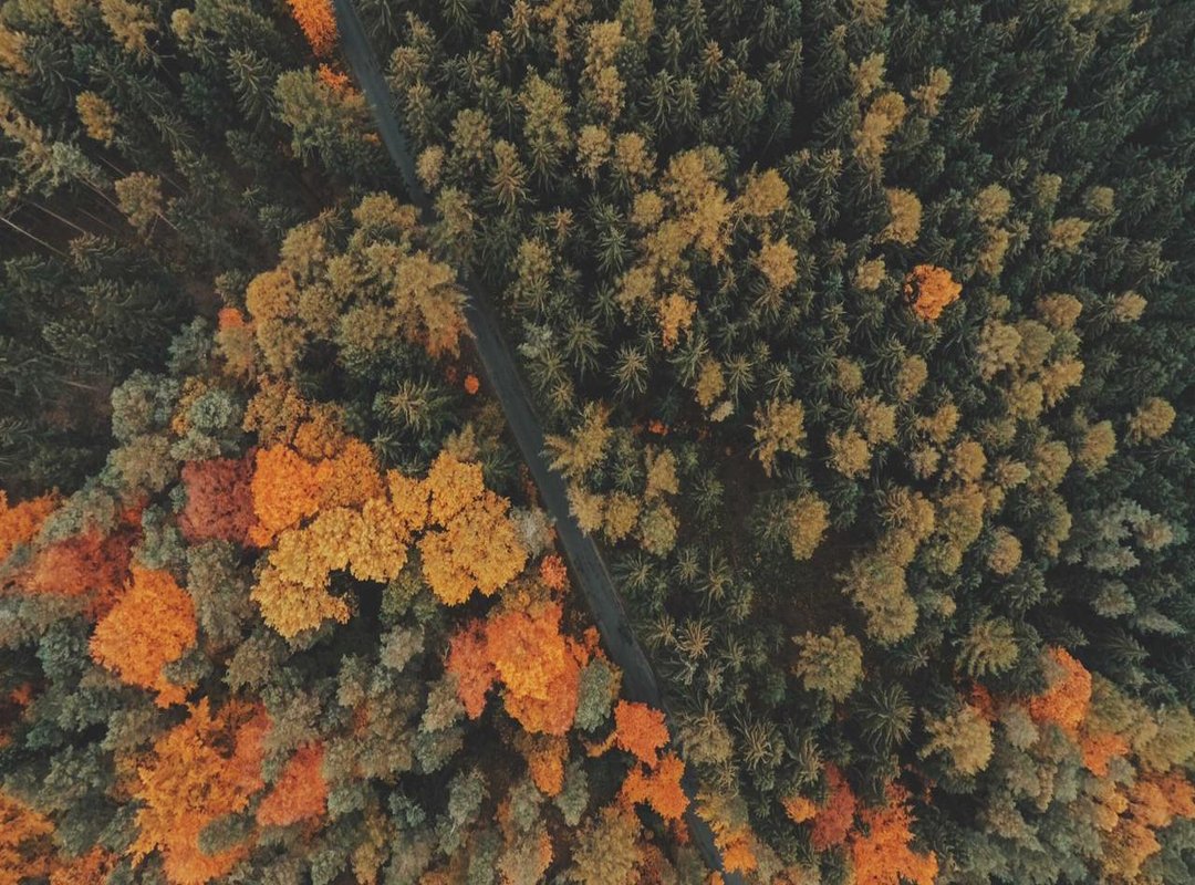 Practical Tips for Currency Conversion