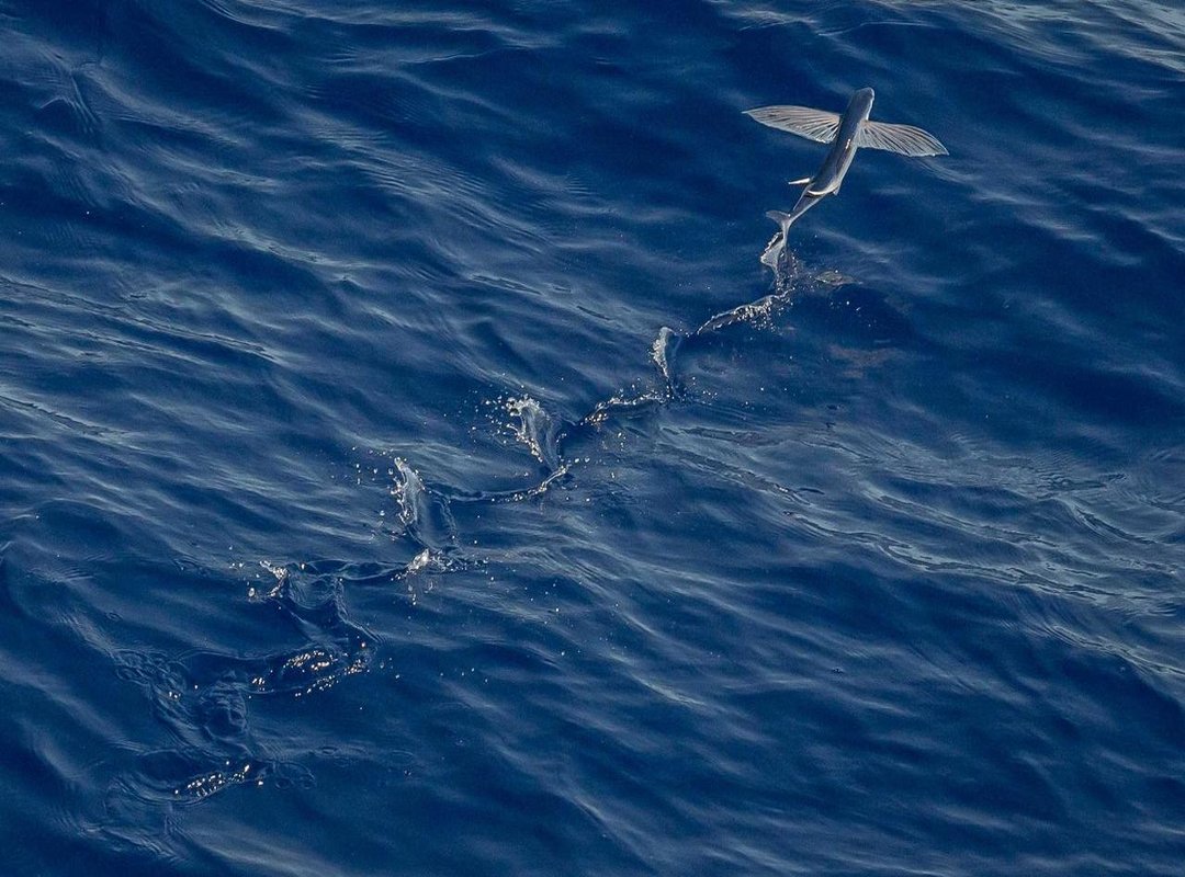 The Aftermath: Key Takeaways and Reactions from the Match