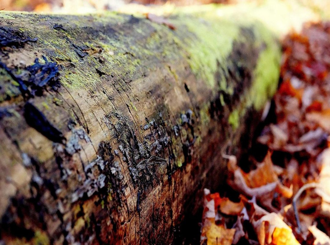 Beyond Text: Other Ways to Deliver a Tender Goodnight