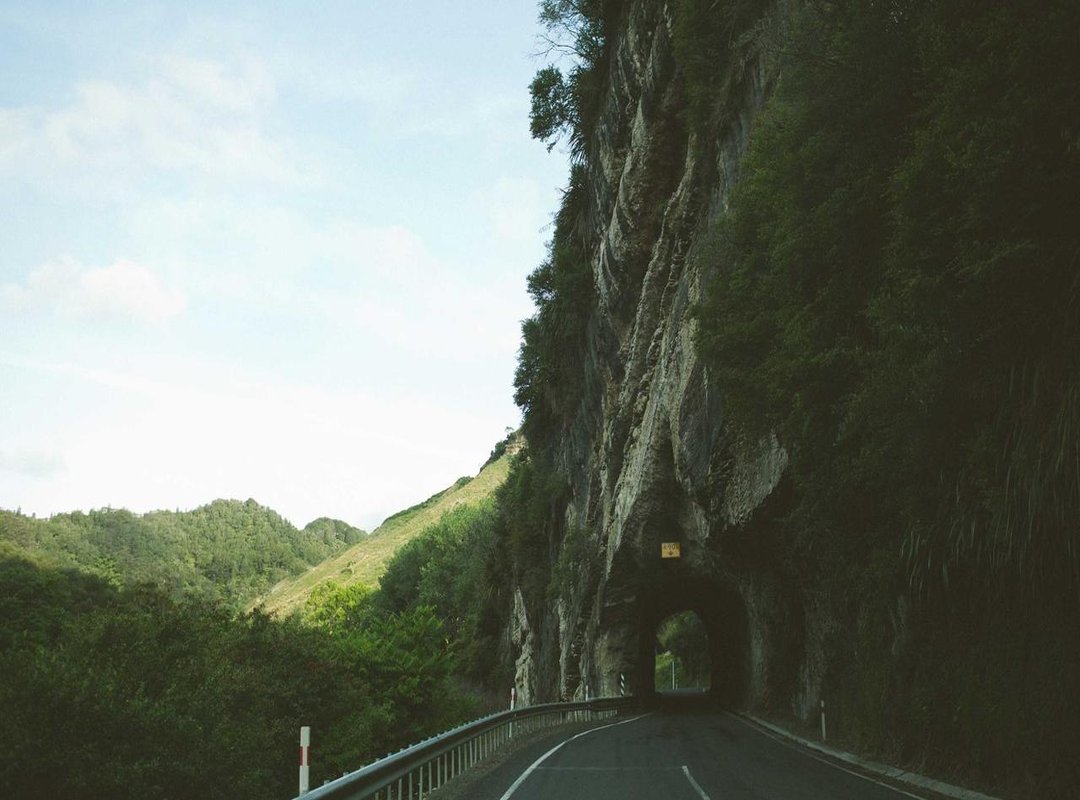 Hashtag and Caption Analysis