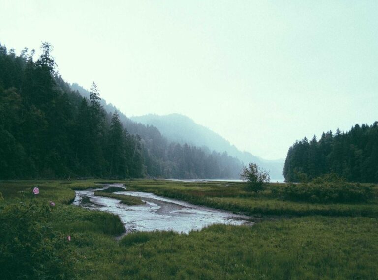 analise milton instagram