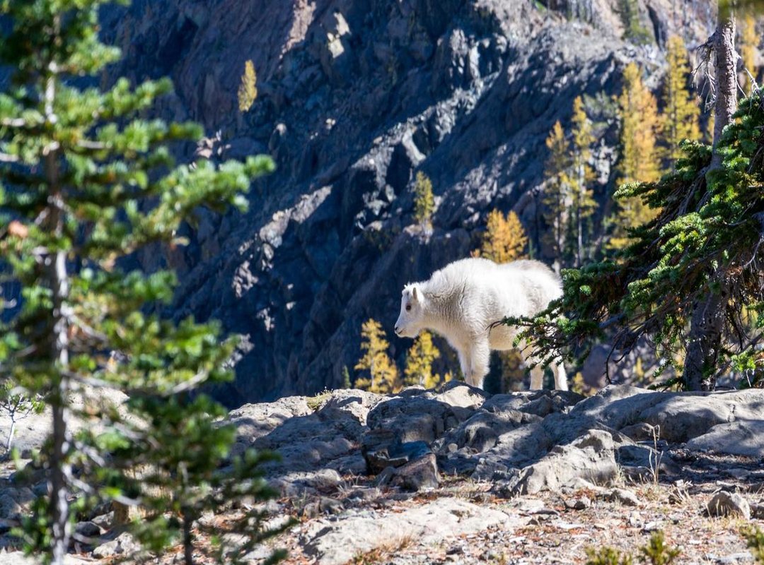 A Practical Guide to Speaking Your Truth (Or Choosing Silence)