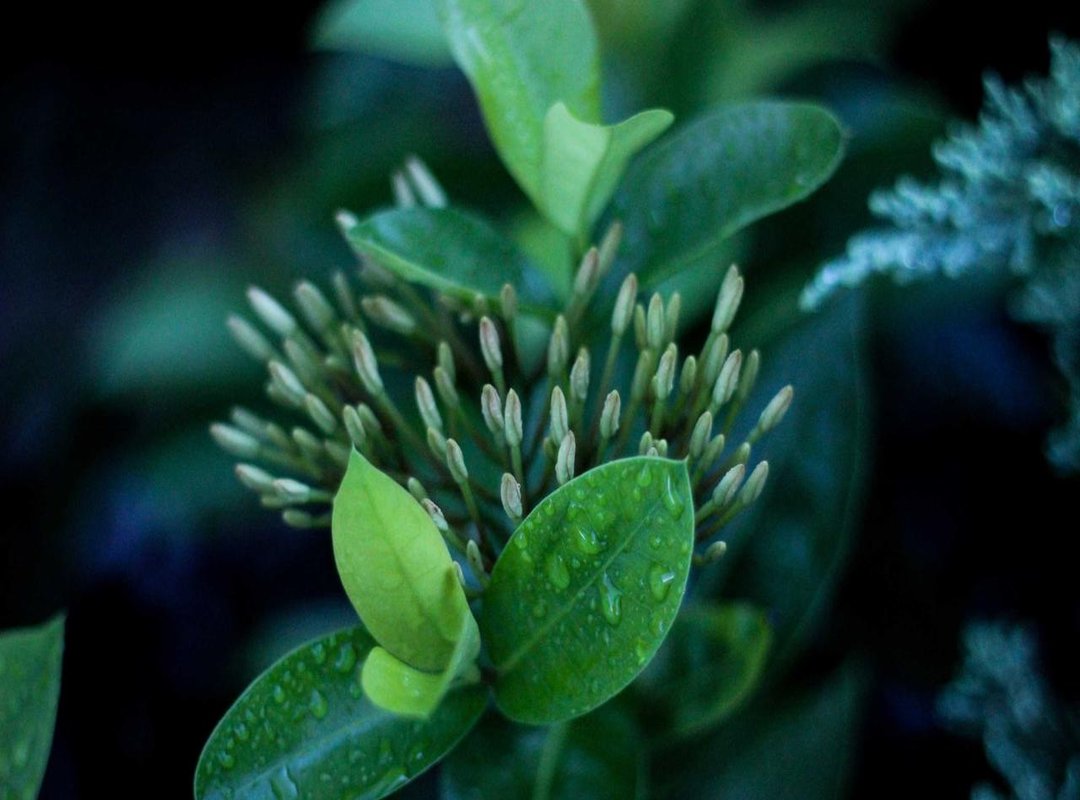 Real-World Applications of Chat G0T