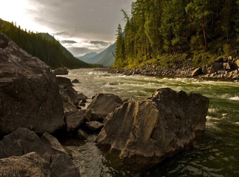 lucie hubert arthur kortenoever