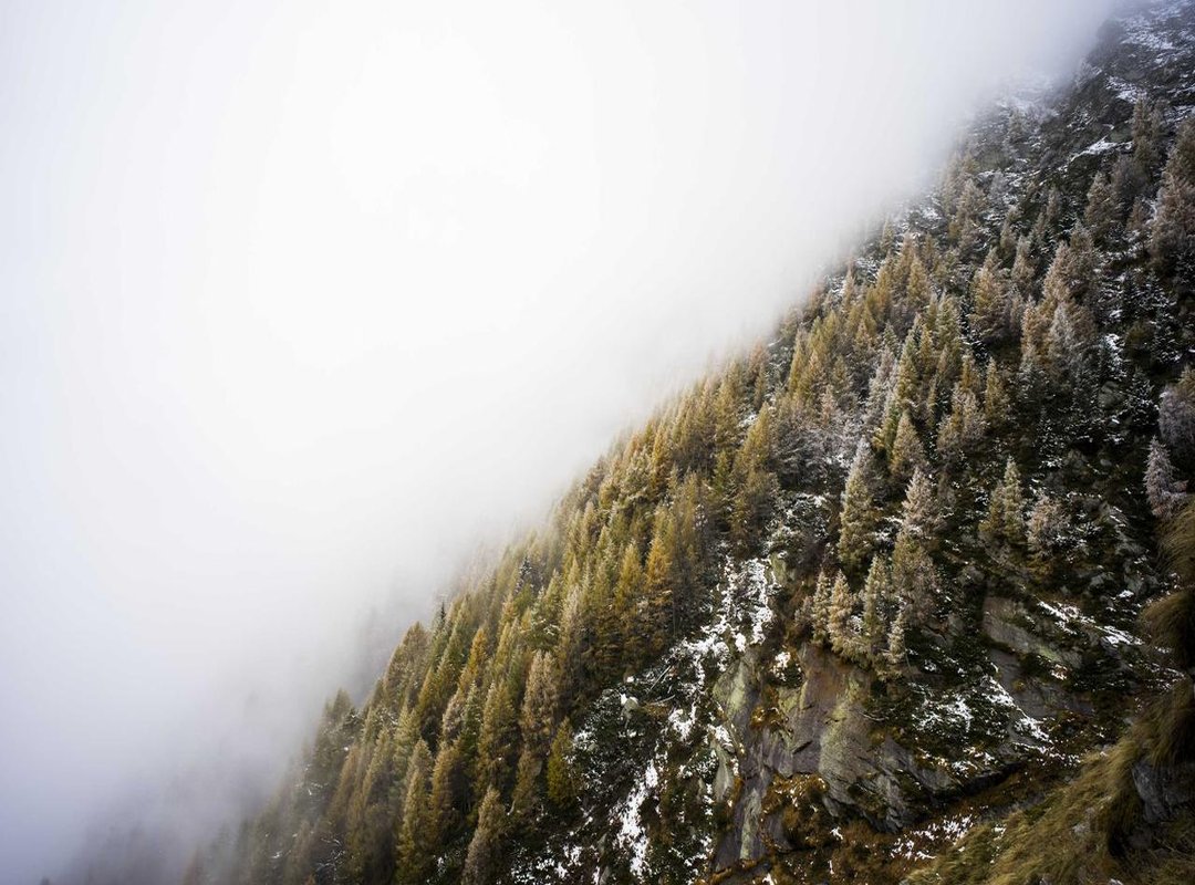 Exploring New Levels and Features