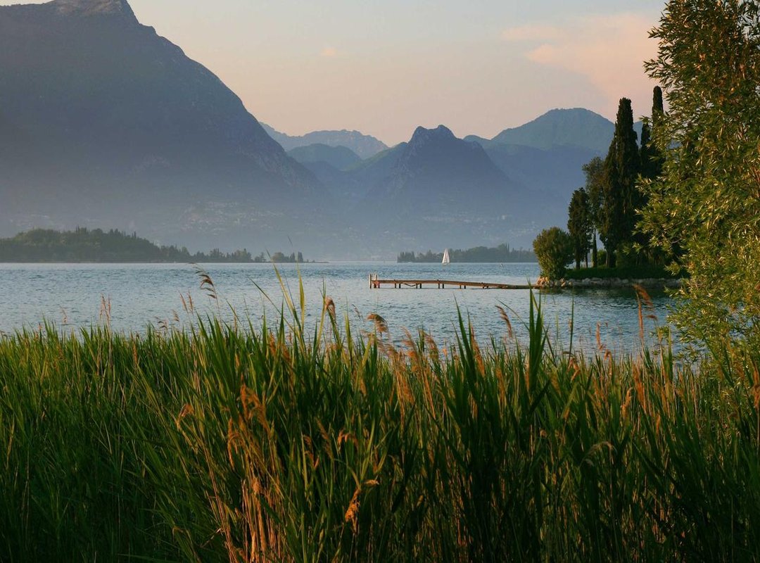 Personalizing Your Character: From 'Noob' to Pro