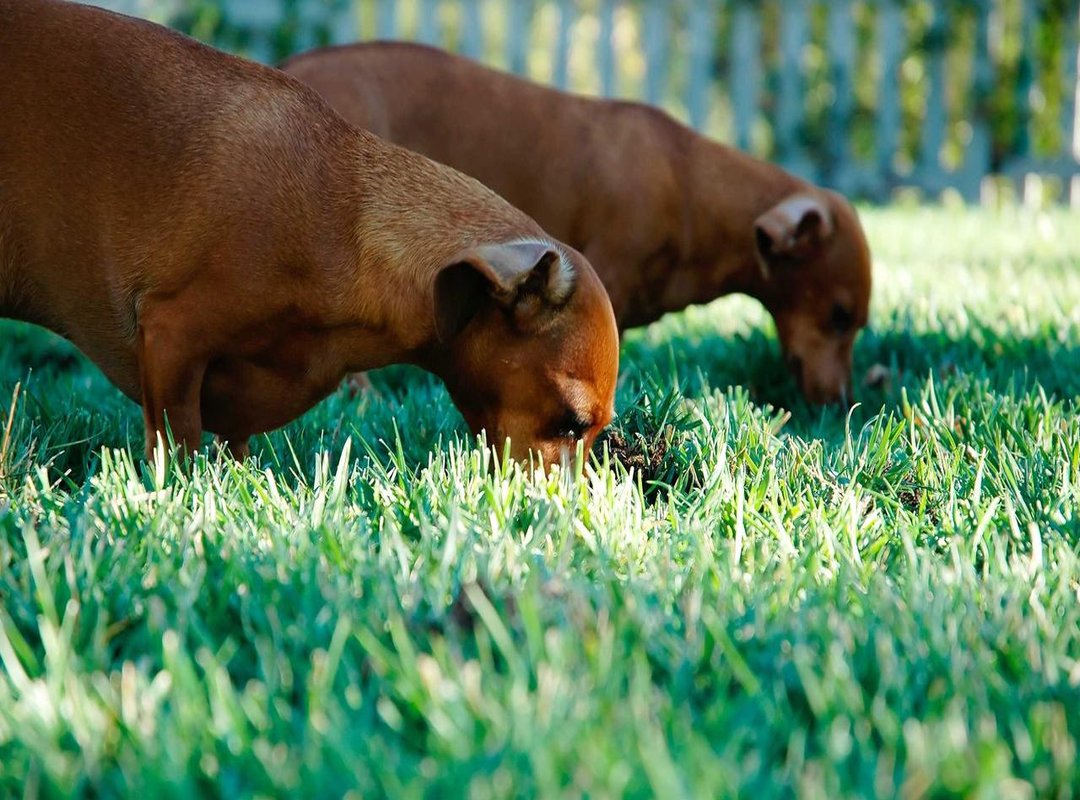 Common Questions and Answers (FAQs)