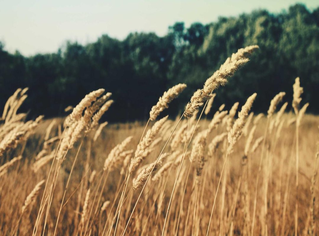 Why We Can't Stop Laughing: The Psychology Behind the Joke