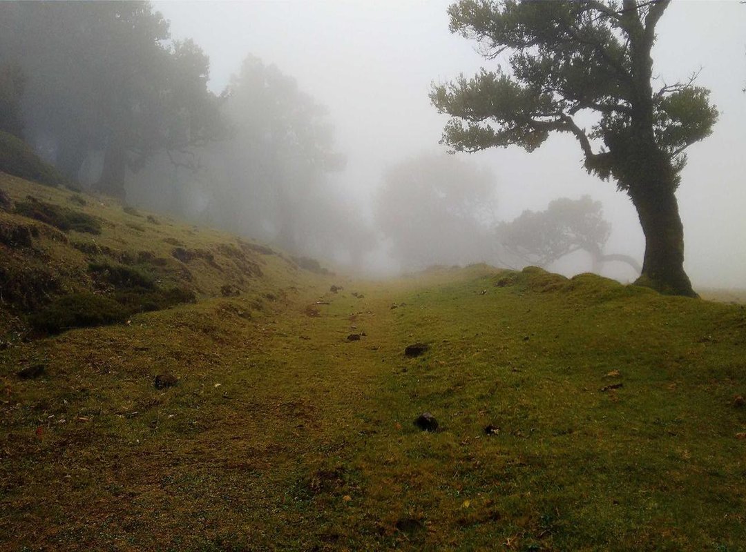 Actionable Strategies for Your First Eurax 100 Trade