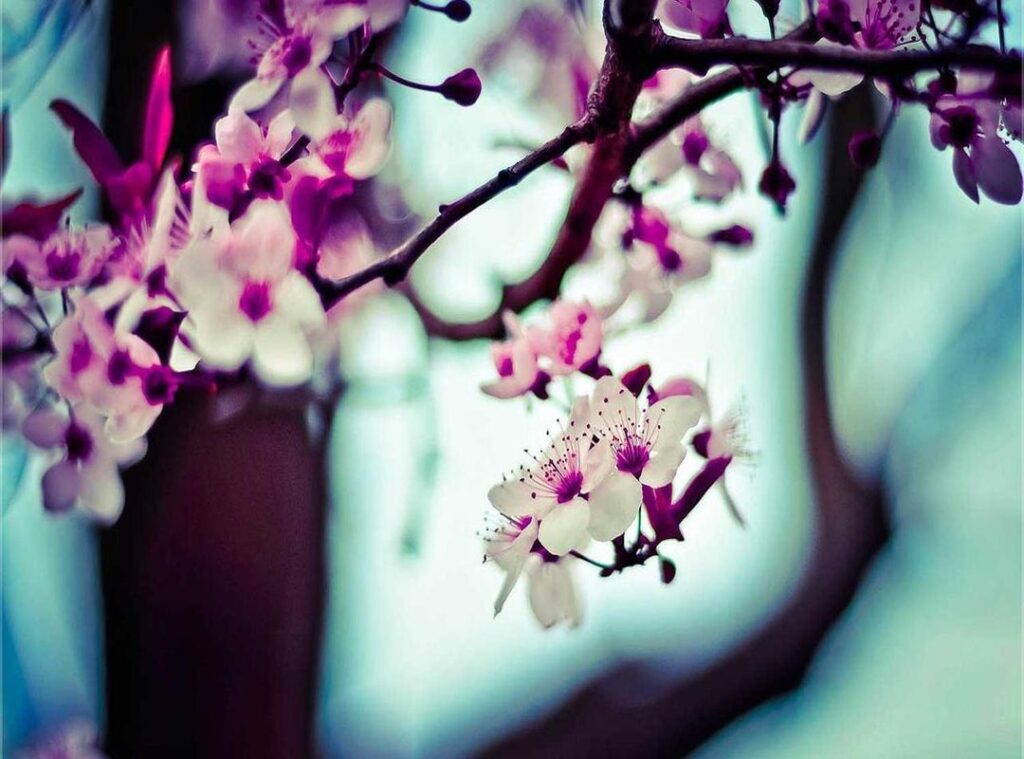 transparent roblox avatar boy